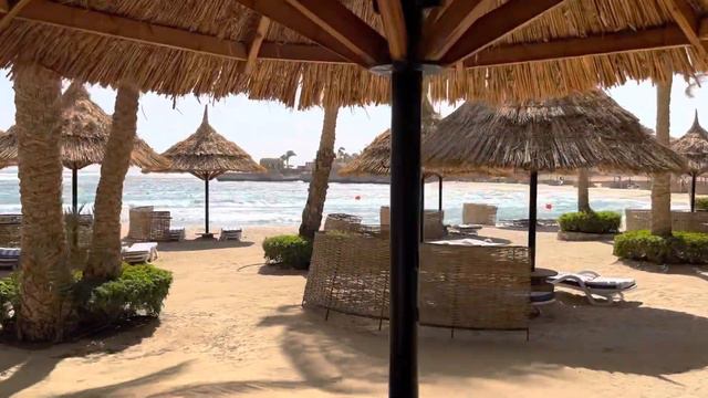 Mövenpick Resort El Quseir morning walkaround смотреть онлайн