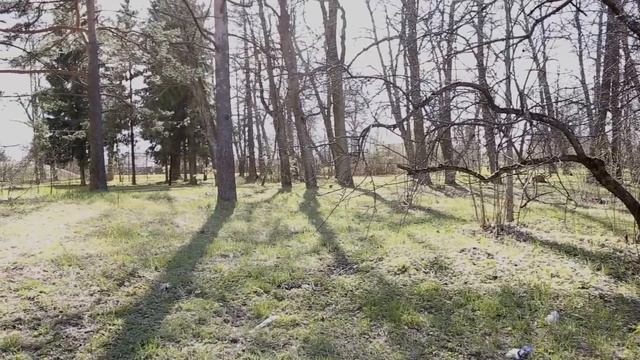 Заброшенные места. Усадьба Демидовых в Тайцах.