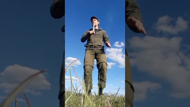 Там летел павлин смотреть онлайн