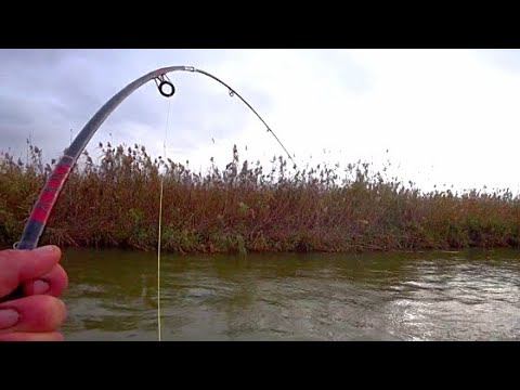 ЭТО МЕСТО ЗНАЮТ ТОЛЬКО МЕСТНЫЕ ЕГЕРЯ!!! ЛЮТАЯ АСТРАХАНСКАЯ РЫБАЛКА!!! БАЗА FISH SENSE смотреть онлайн