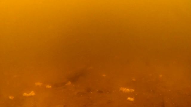 Мутная вода в апреле.Прикормил и рыба пошла.Ондатра на 2.15 мин.Город Курск.Река Сейм смотреть онлайн