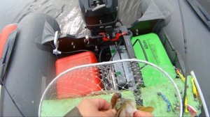 Спиннинг с лодок. Соревнования. День 1.