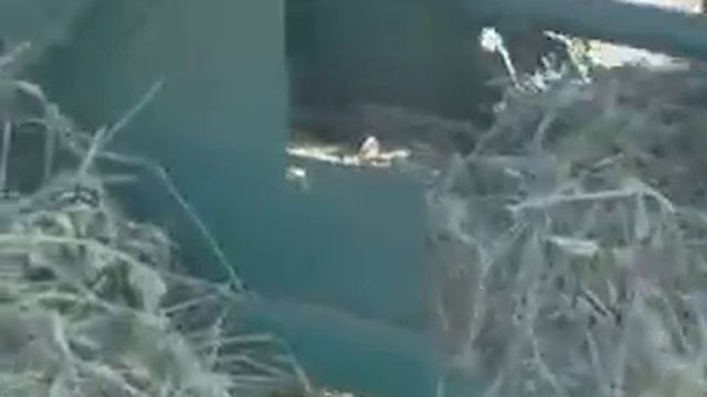 Тюкуем сено мотоблоком 1 Baling Hay смотреть онлайн