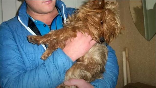 Для него родной дом превратился в тюрьму. В один день собаку просто вычеркнули из жизни