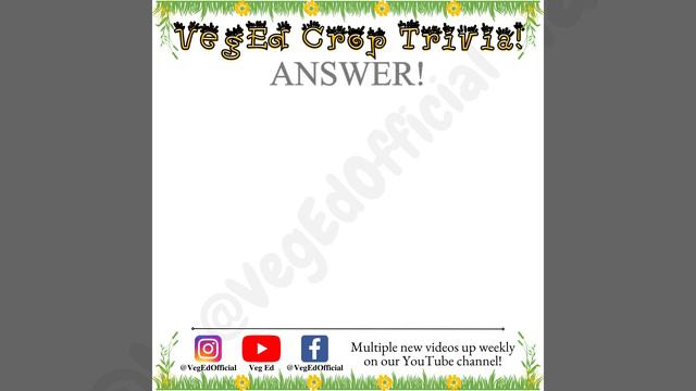 #veCropTrivia: 012 смотреть онлайн