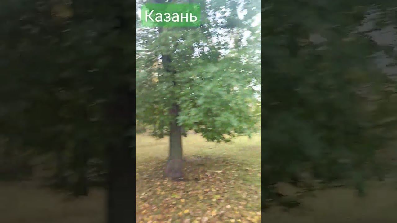 Мечта поэтов. Осень. смотреть онлайн