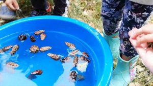 Им точно понравится | Летние игры, занятия дома и на улице | Летние развивающие игры на тему ВОДА.