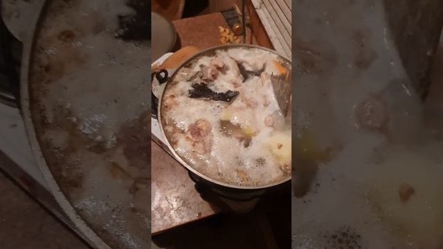 Svetlogorsk Капитана Немо 2024