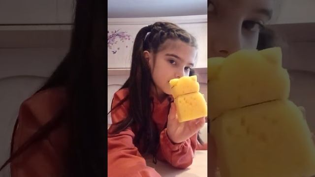 детская поделка от Аминки . Животное из губки. Приятного просмотра смотреть онлайн