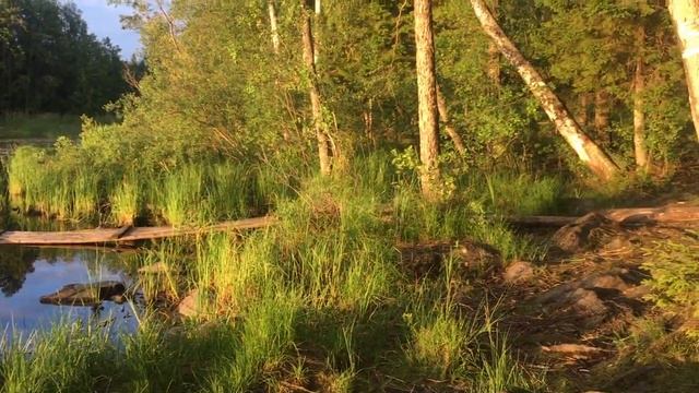 Рыбалка На Даче В Приозерске смотреть онлайн