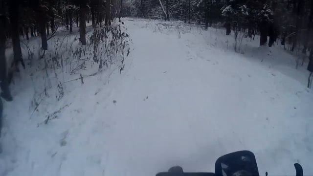 Ульяновский Лесопарк зимой смотреть онлайн