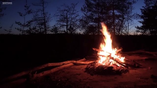 Relaxing Music & Campfire • Relaxing Guitar Music, Soothing Music, Calm Music