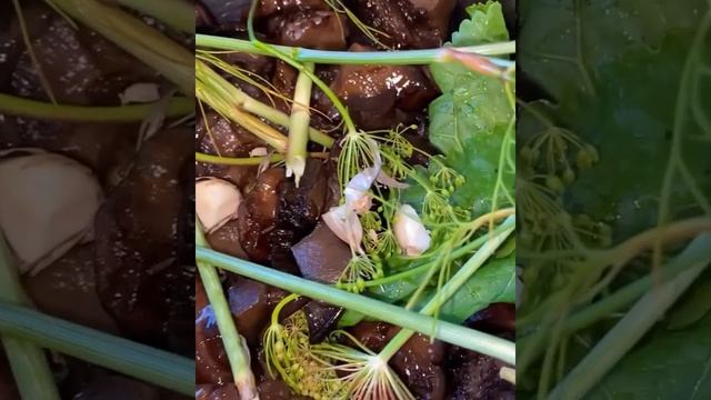 Солёные грибы Свинушки ?Грибы замочить в воде на 30 минут! #грибы #shorts #грибочки смотреть онлайн