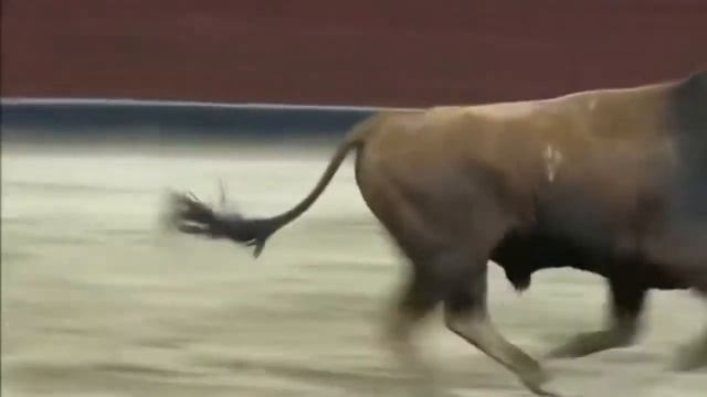 Бык самоубийца. смотреть онлайн