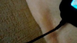 Строим дом для белки в майнкравте