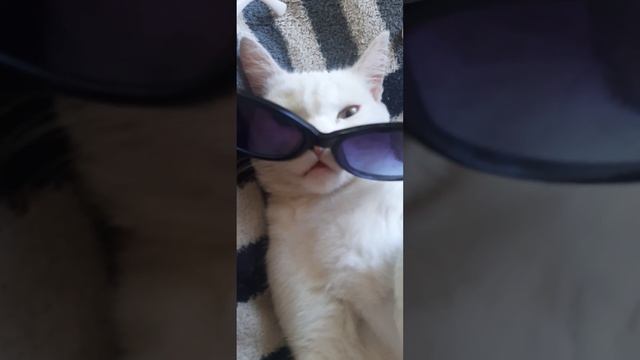 а я такая деловая смотреть онлайн