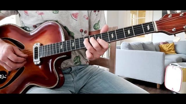 ARCHTOP SERIES | Musima Record 15 & Orgaphon Hohner MH20 | 