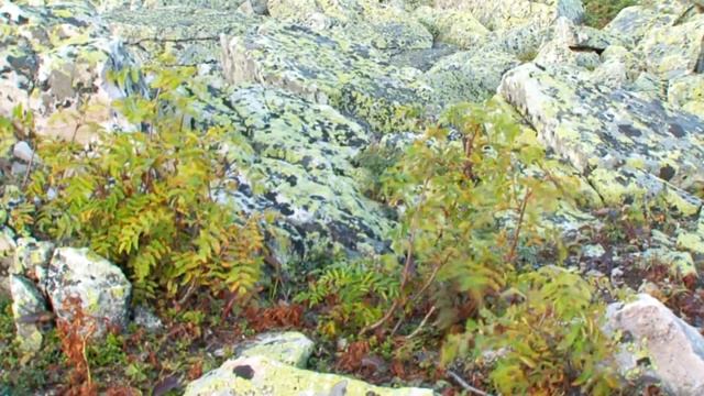 Большой Шелом - третья вершина Южного Урала смотреть онлайн
