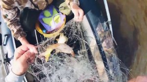 Рыбалка на кастинговую сеть 2022!!!! Лучшая рыбалка на кастинговую сеть!!!!