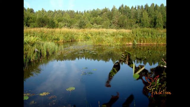 2012 Вохтома. Фотографии прошлых лет. Часть 2 из 3 смотреть онлайн