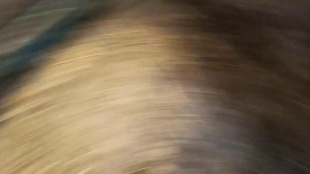 Мартик начинает проявлять бычьи качества / Боня воспитывает Найду / Муся скучает без кошек смотреть онлайн