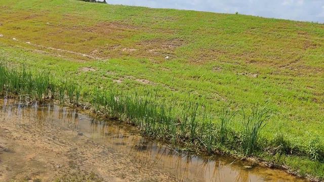 Wondering Through a Closed Graveyard! (Urban Exploration) смотреть онлайн