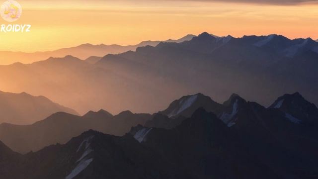 Green Apelsin - Чревоугодие (Lyrics)