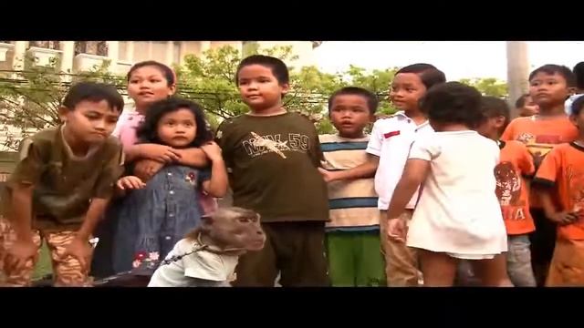 Джакарта тур с прикольной Обезьяной