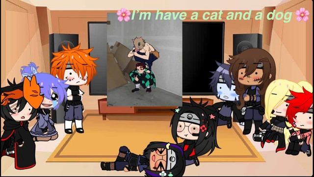 {Akatsuki +??? }react to random images in my gallery 2/5 смотреть онлайн