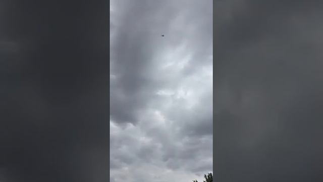 Голуби Турецкая Такла! Turkish Takla Селекционер Санжах. смотреть онлайн