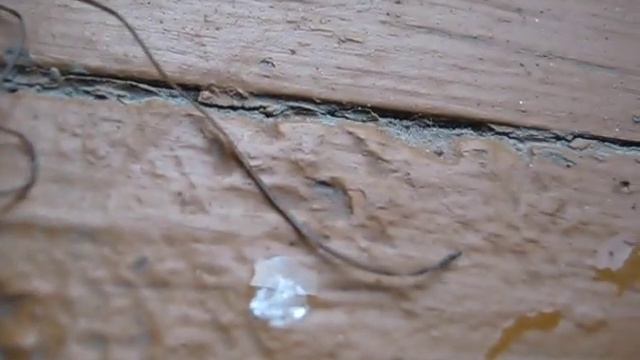 живой волос 3 смотреть онлайн