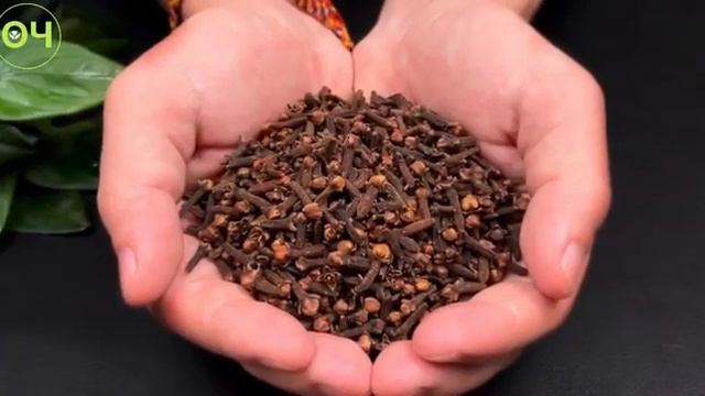 Рецепты здоровья