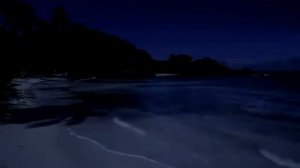 Стивен Кинг. Ночной прибой