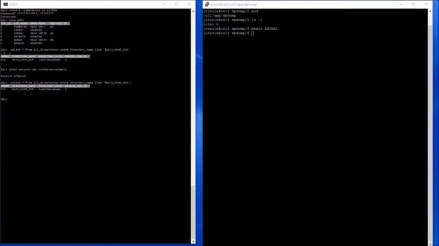 Oracle datapump export from a pluggable database смотреть онлайн