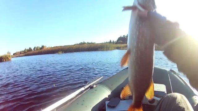 Воблер TsuYoki DUST 115SP Помог уйти от 0 смотреть онлайн