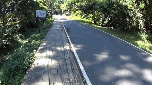 Тайланд о. Пхукет, Патонг, отель Амата Патонг Резорт