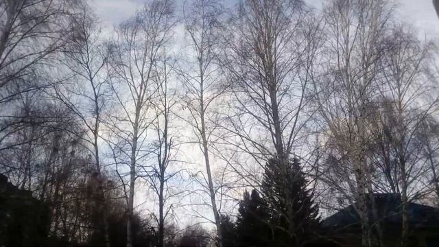 Шум ветра перед бурей. смотреть онлайн