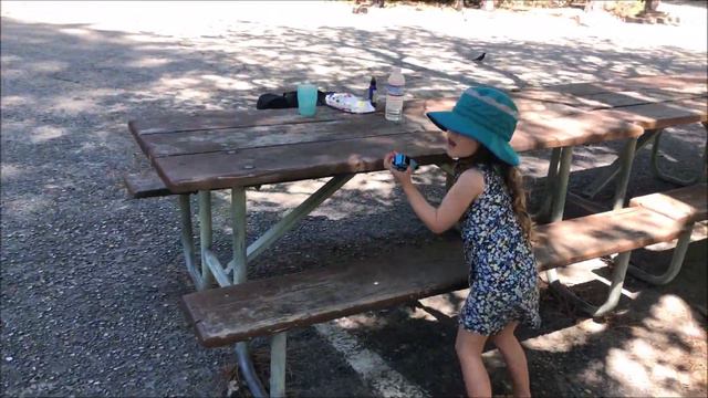 2020 Июнь. Sequoia & Kings Canyon National Park Часть 3. Чем дети заняты в машине? смотреть онлайн