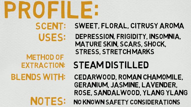 Essential Oil Breakdown: Neroli Oil! Benefits, Uses, and History (Aromatherapy) смотреть онлайн