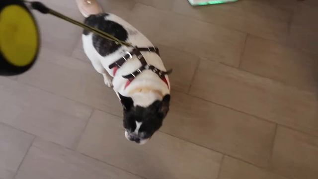 Поездка в дом отдыха в Тарусу на машине из Москвы. смотреть онлайн