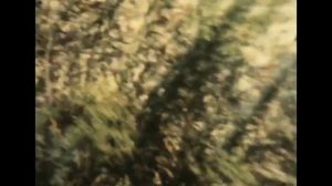 Махачкала 1980 год ДАССР   [Махачкала]