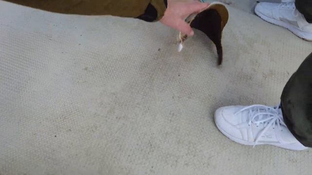 Pыбалка [4K] #4kvideo