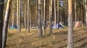 Поход по реке Мологе.