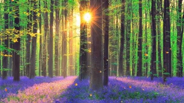 Расслабляющая музыка, Paradise HD, Звуки воды смотреть онлайн