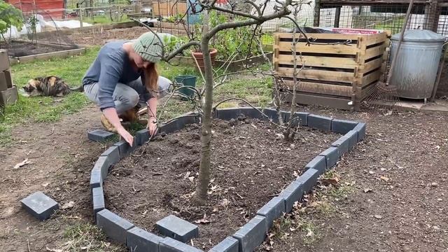 First Day of SPRING: Planting out Pak Choi and Growing Potatoes in Bags || Plot 37 (Episode 50) смотреть онлайн