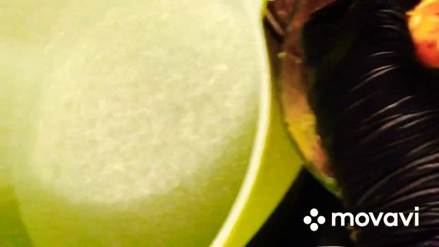 Домашние Животные и Их Уход