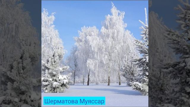 "Зимнее утро". А. С. Пушкин. учительница русского языка школы №6 г. Карасув Шерматова М. Л. смотреть онлайн