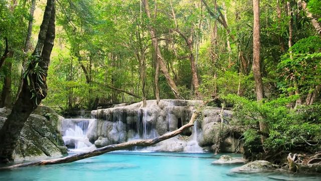 Расслабляющая музыка дзен со звуками воды • Расслабление, сон, спа, йога, медитация смотреть онлайн
