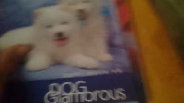 Покупки к школе часть1 (тетради) смотреть онлайн