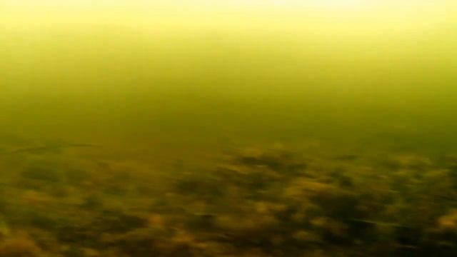 Щучий мир.Подводная съёмка смотреть онлайн